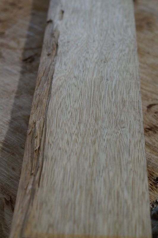Halsrohling Korina 270422-8
