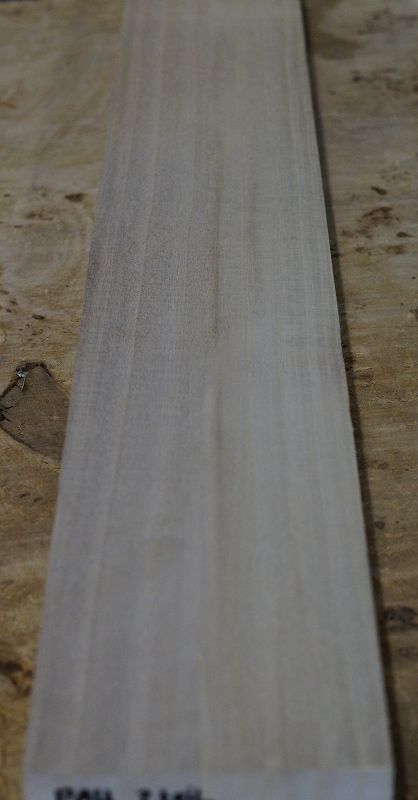 Halsrohling Paulownia 2 teilig 120523