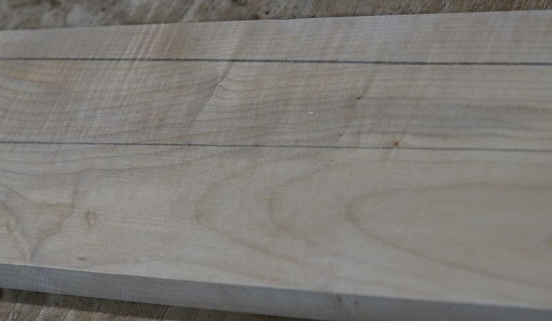 Halsrohling Riegelahorn 170723-1 Bass