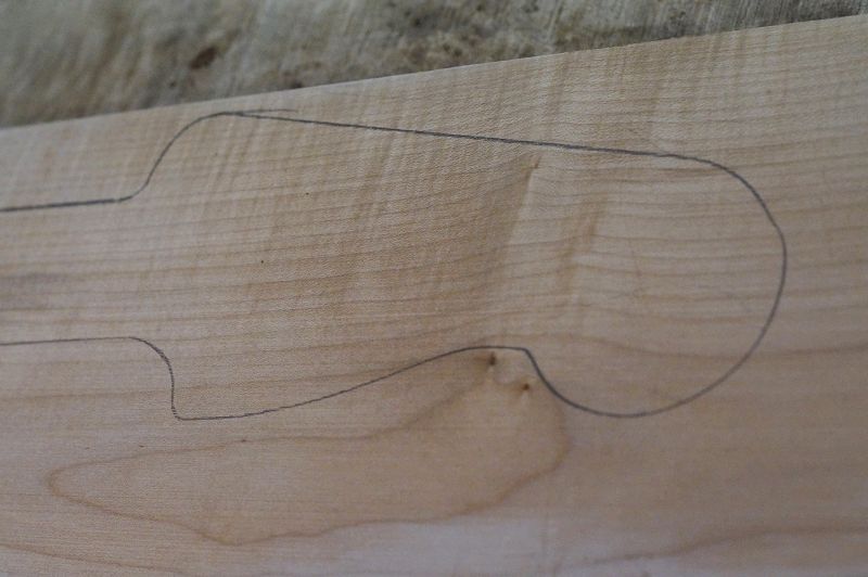 Halsrohling Riegelahorn 170723-1 Bass