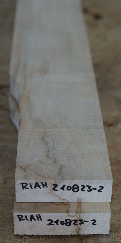 Halsrohling Riegelahorn 210823-2