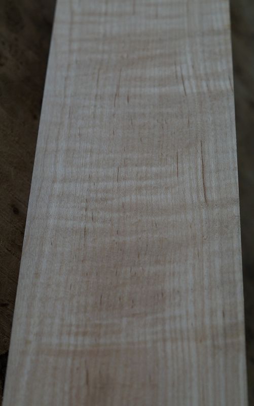 Halsrohling Soft Maple Riegel 180723-2