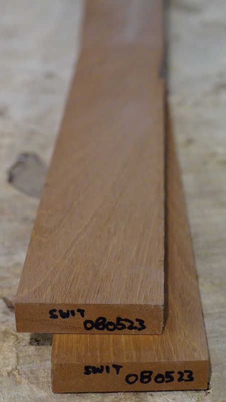 Halsrohling Swietenia 080523