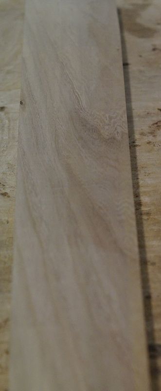 Halsrohling Ulme 240323-2