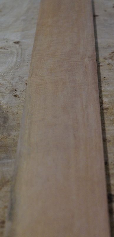 Halsrohling Ebenholz Weiß Riegel 090322