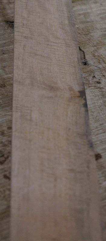 Halsrohling Ebenholz Weiß 230821