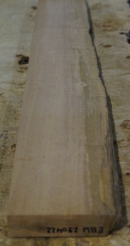 Halsrohling Ebenholz Weiß Riegel 290422