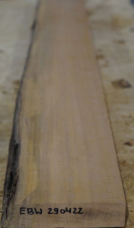Halsrohling Ebenholz Weiß Riegel 290422
