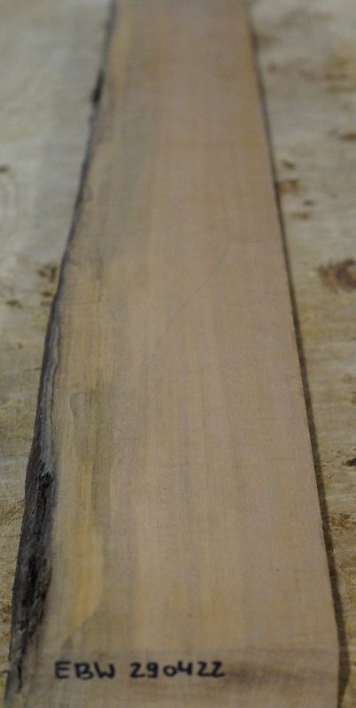 Halsrohling Ebenholz Weiß Riegel 290422