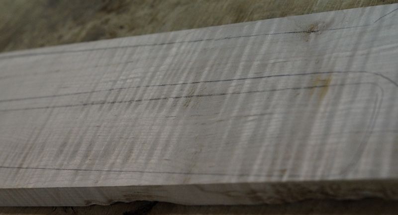 Halsrohling Soft Maple Riegel 170723-1 Bass/Git