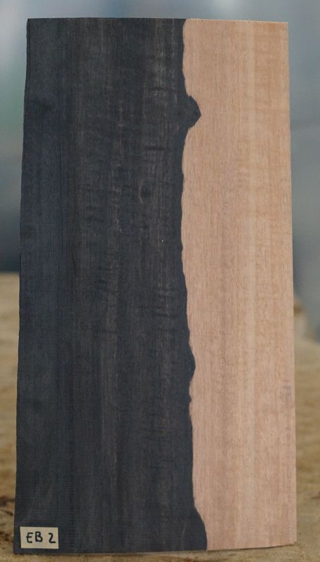 Kopfplatte Ebenholz 2