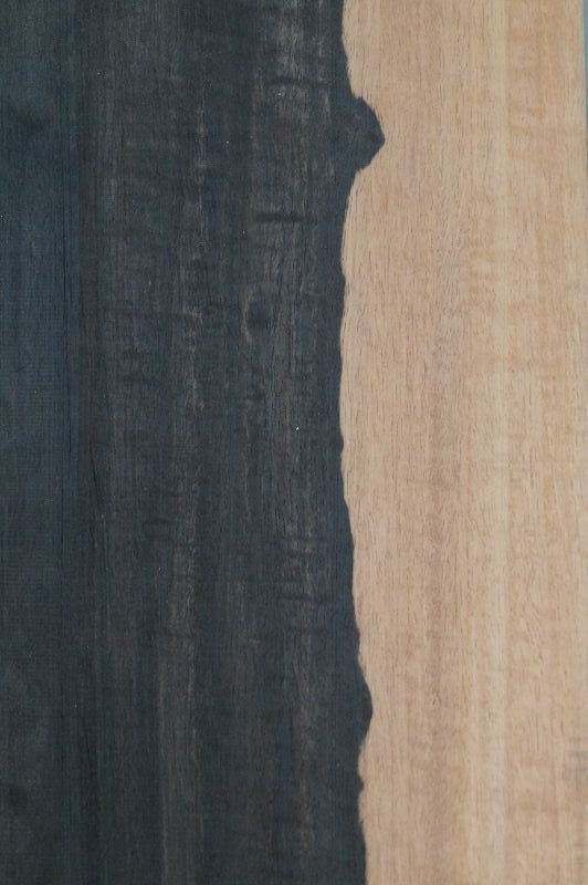 Kopfplatte Ebenholz 2