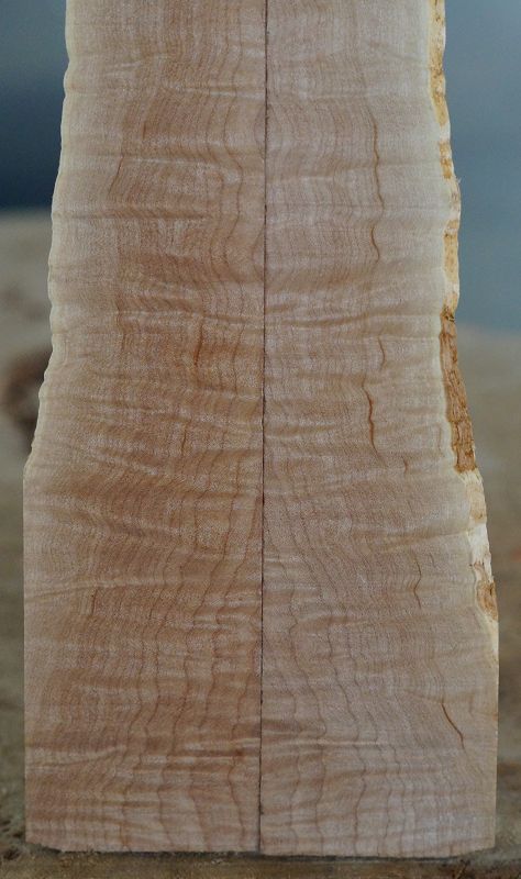 Kopfplatte Quilted Maple 210823