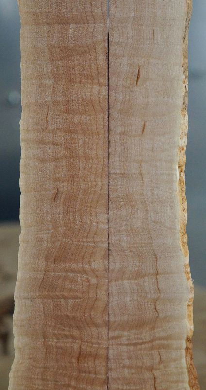 Kopfplatte Quilted Maple 210823