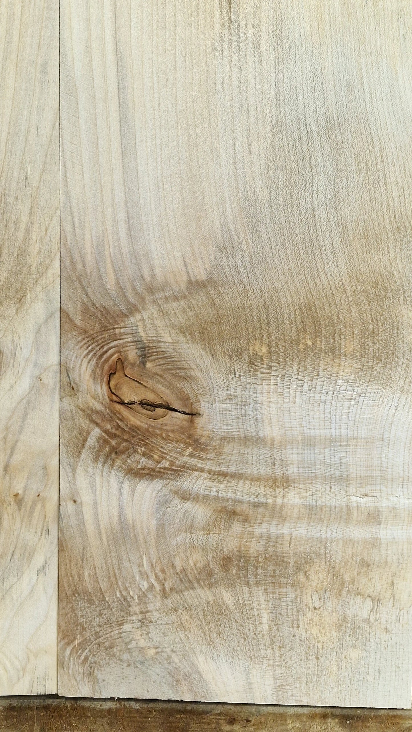 Aufleimer Ahorn 101225