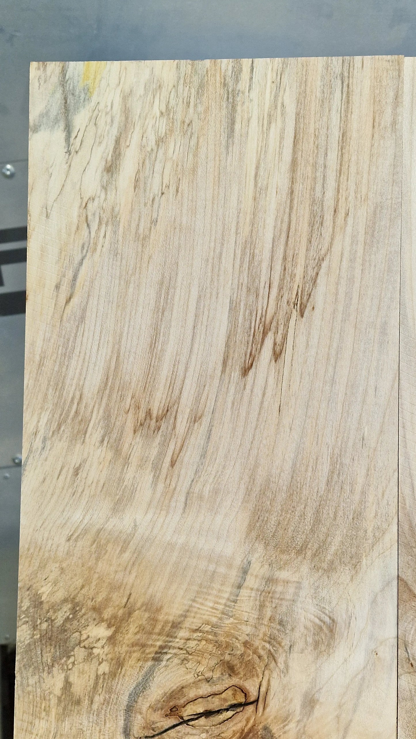 Aufleimer Ahorn 101225