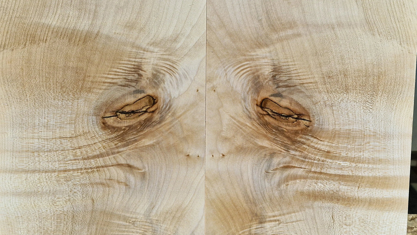 Aufleimer Ahorn 101225