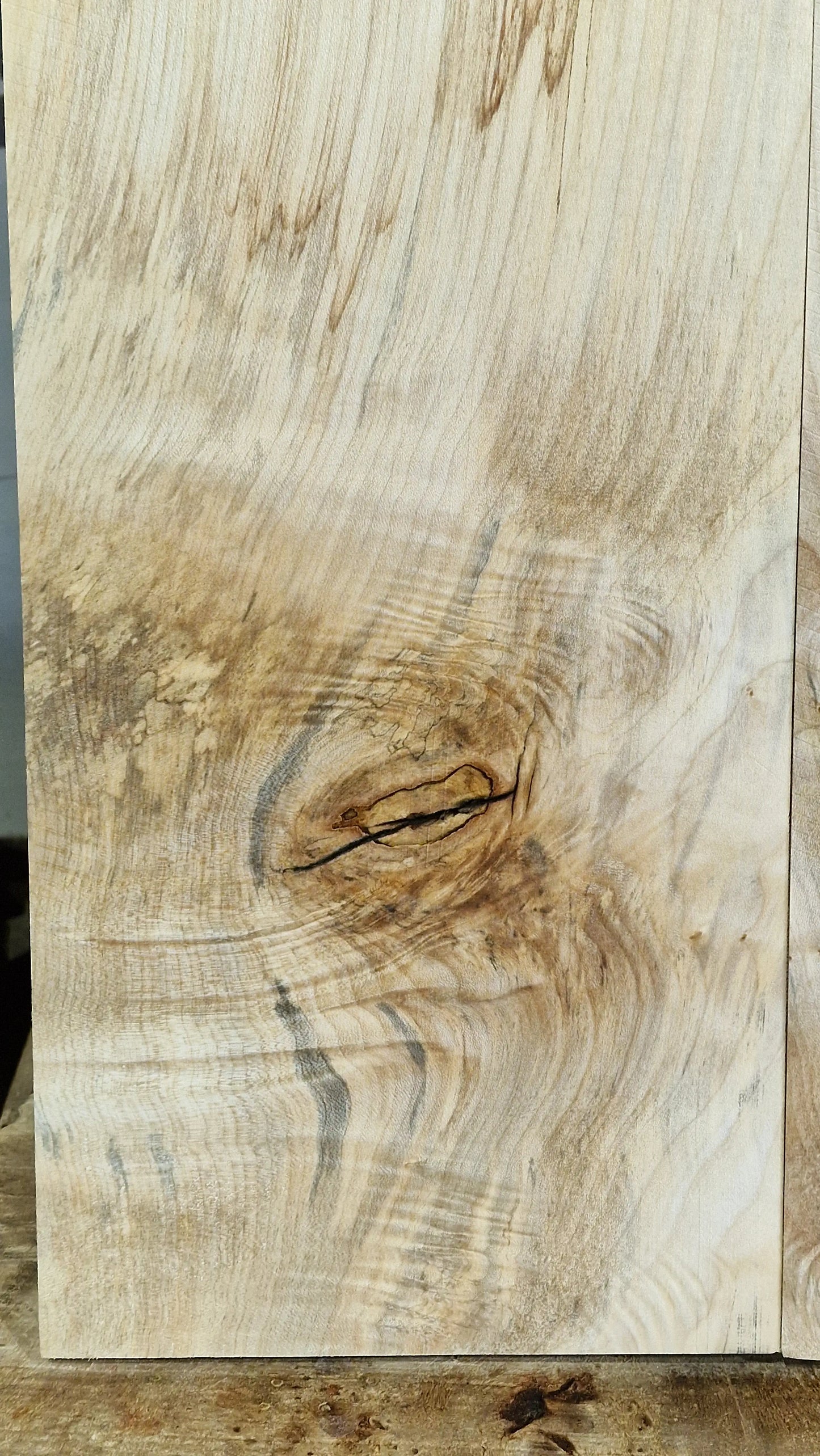 Aufleimer Ahorn 101225