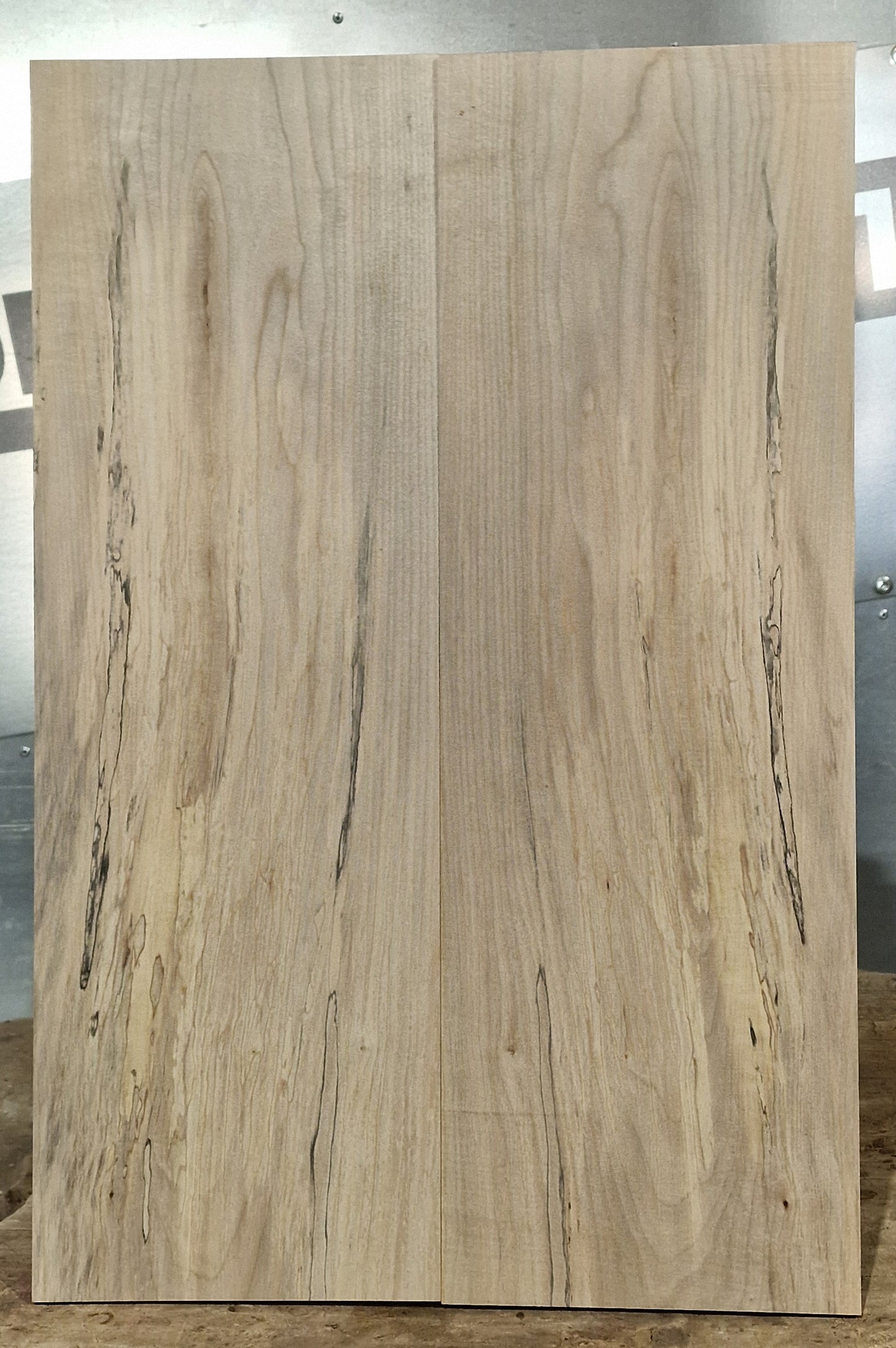 Aufleimer Ahorn 160326-1