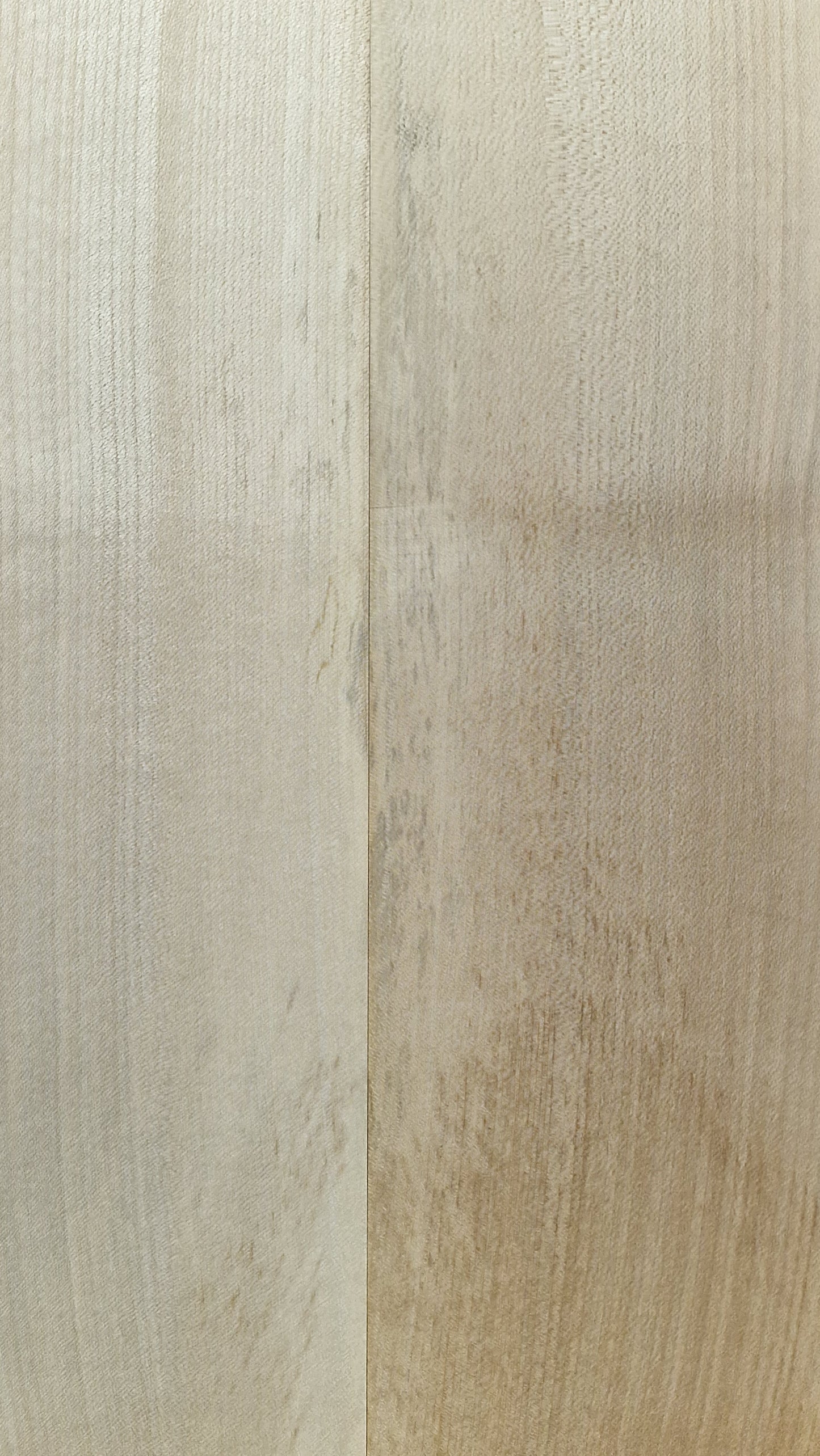 Aufleimer Ahorn 160326-5