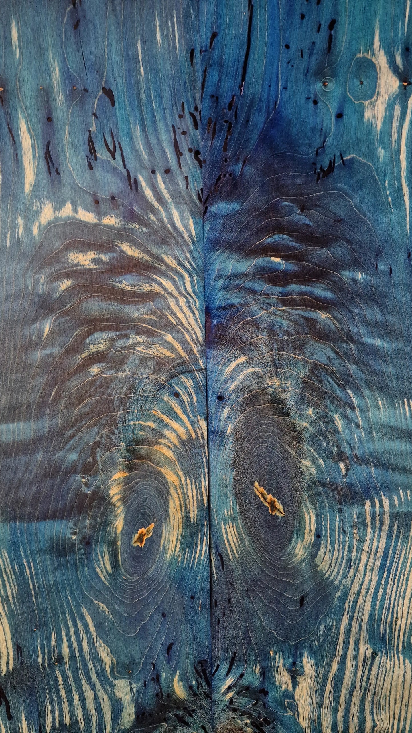 Epoxid Guitartop EP-8