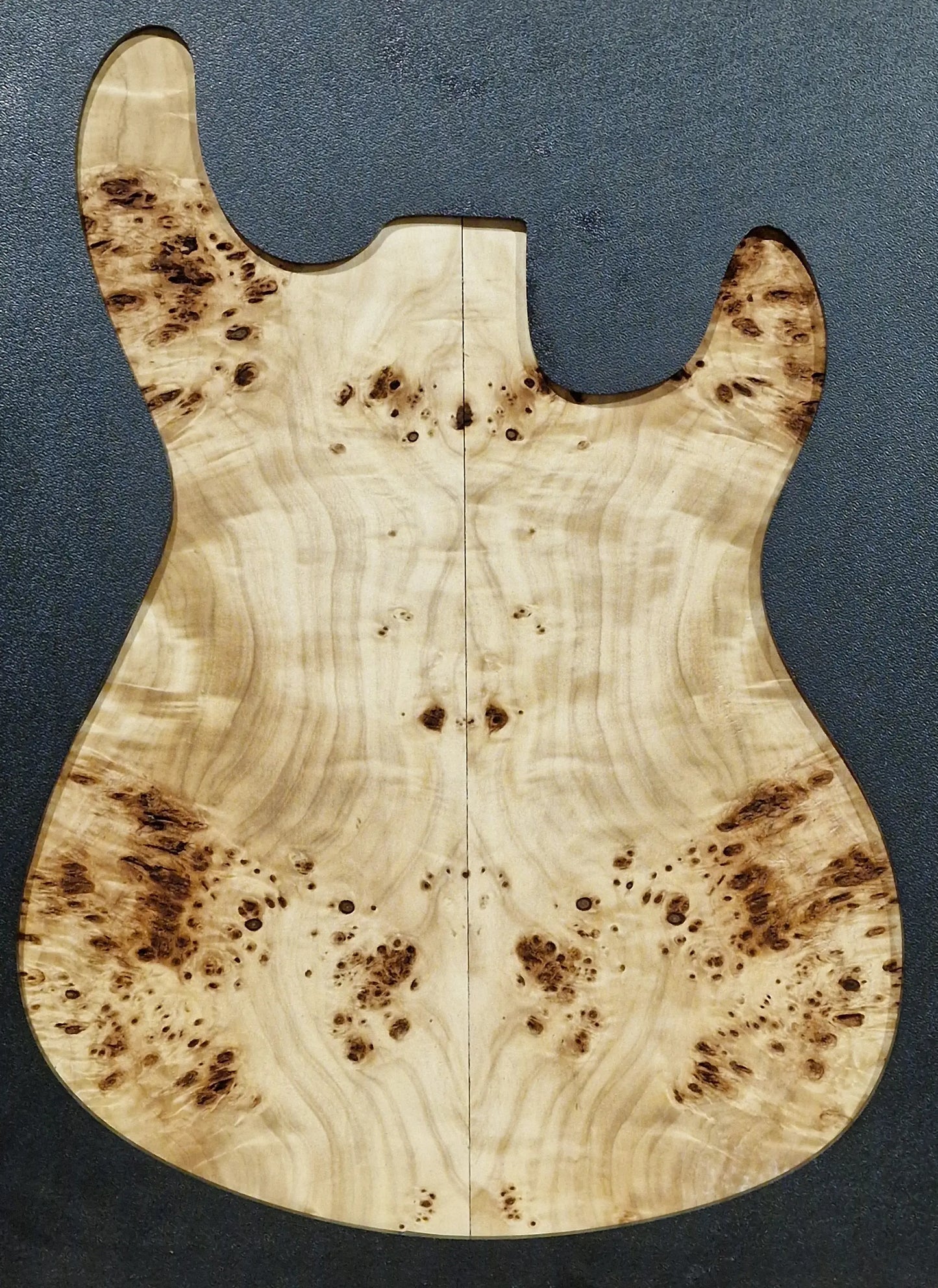 Aufleimer Maserpappel 151225