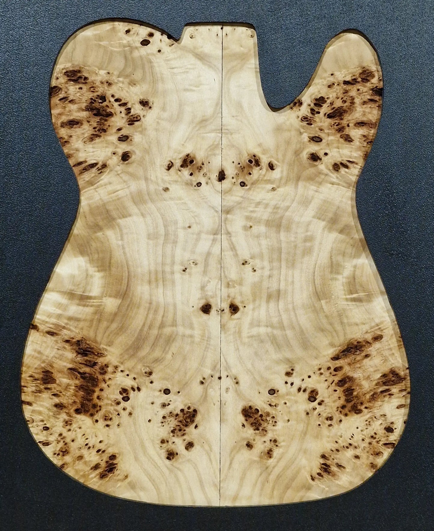 Aufleimer Maserpappel 151225