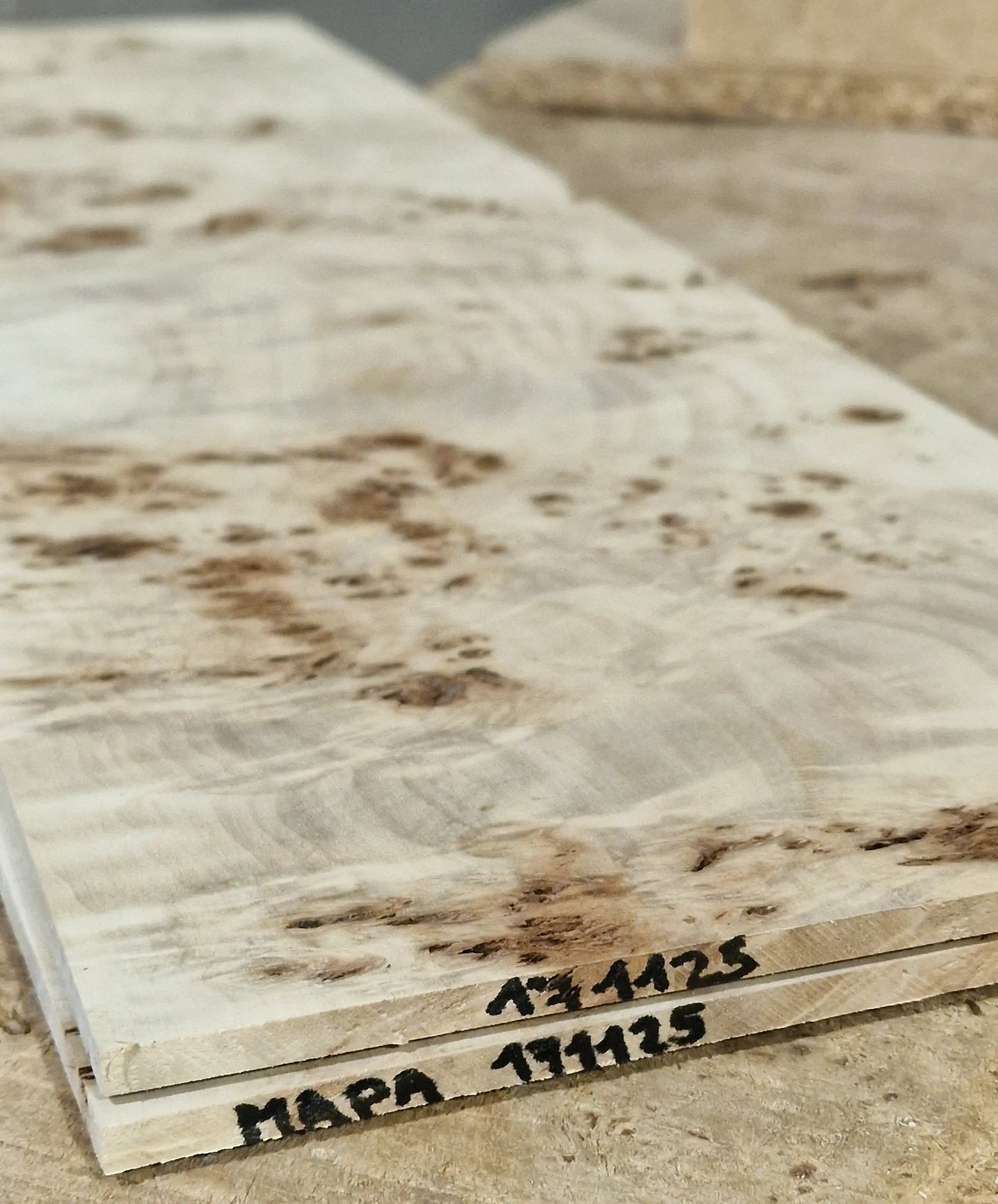 Aufleimer Maserpappel 171125