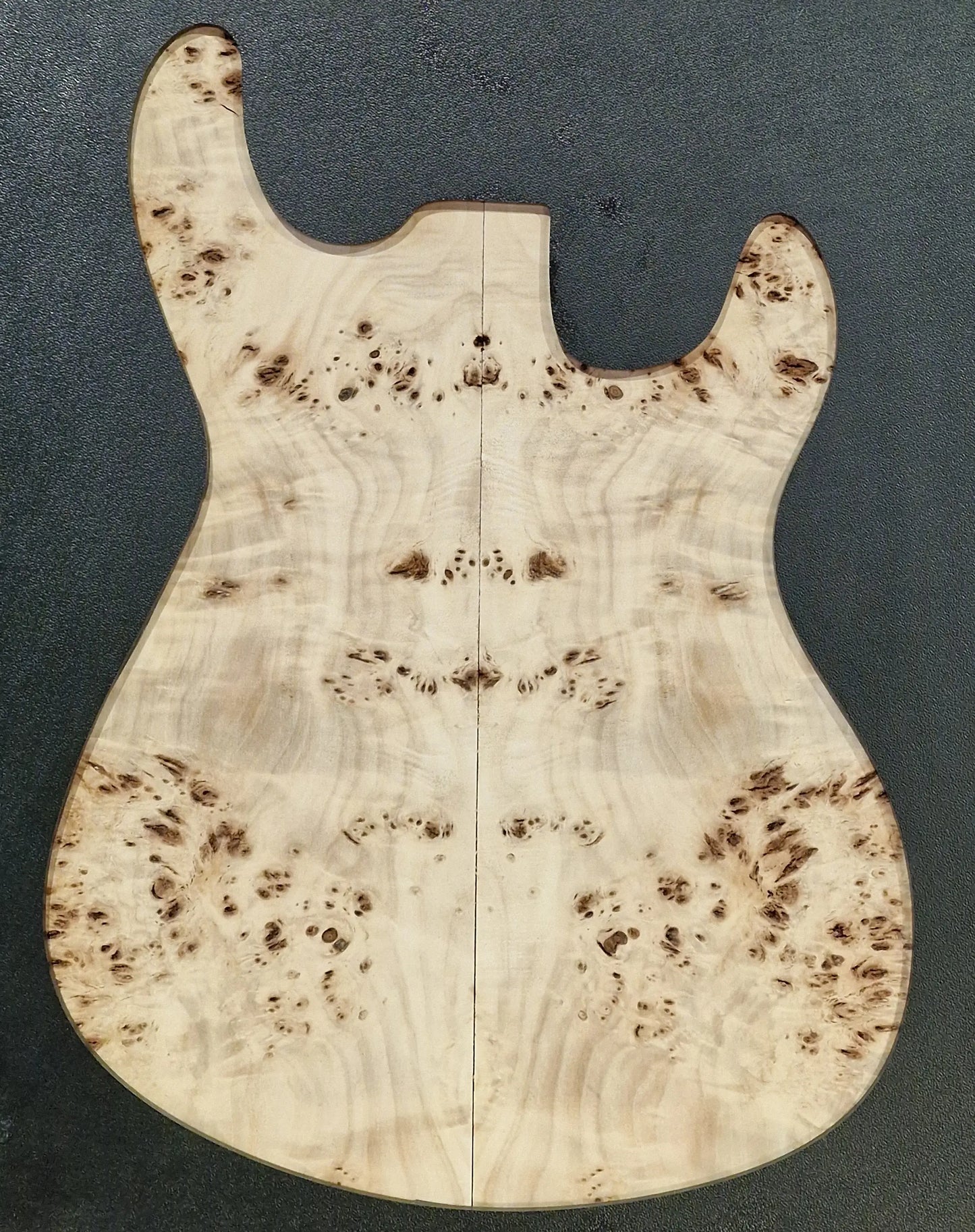 Aufleimer Maserpappel 171125