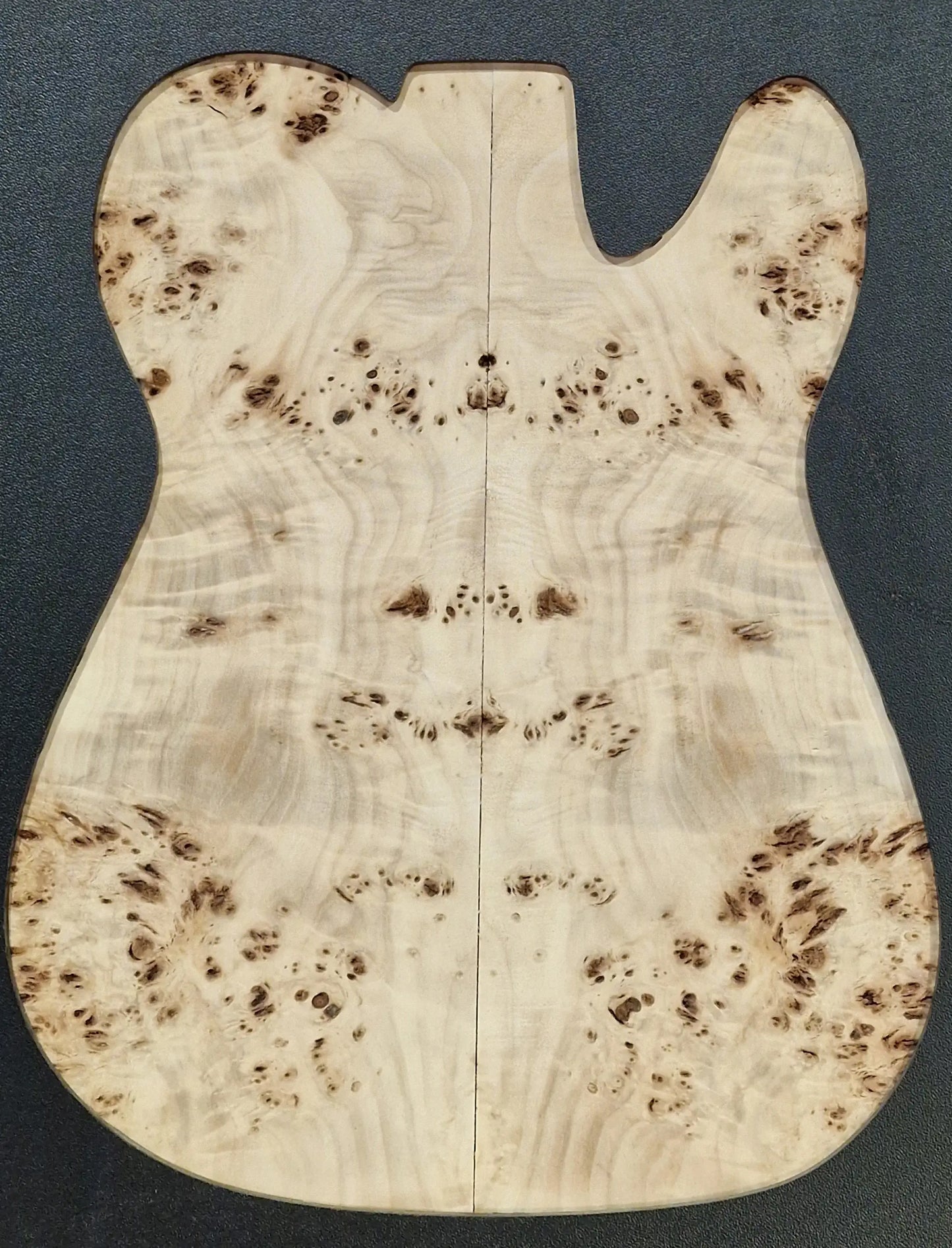 Aufleimer Maserpappel 171125