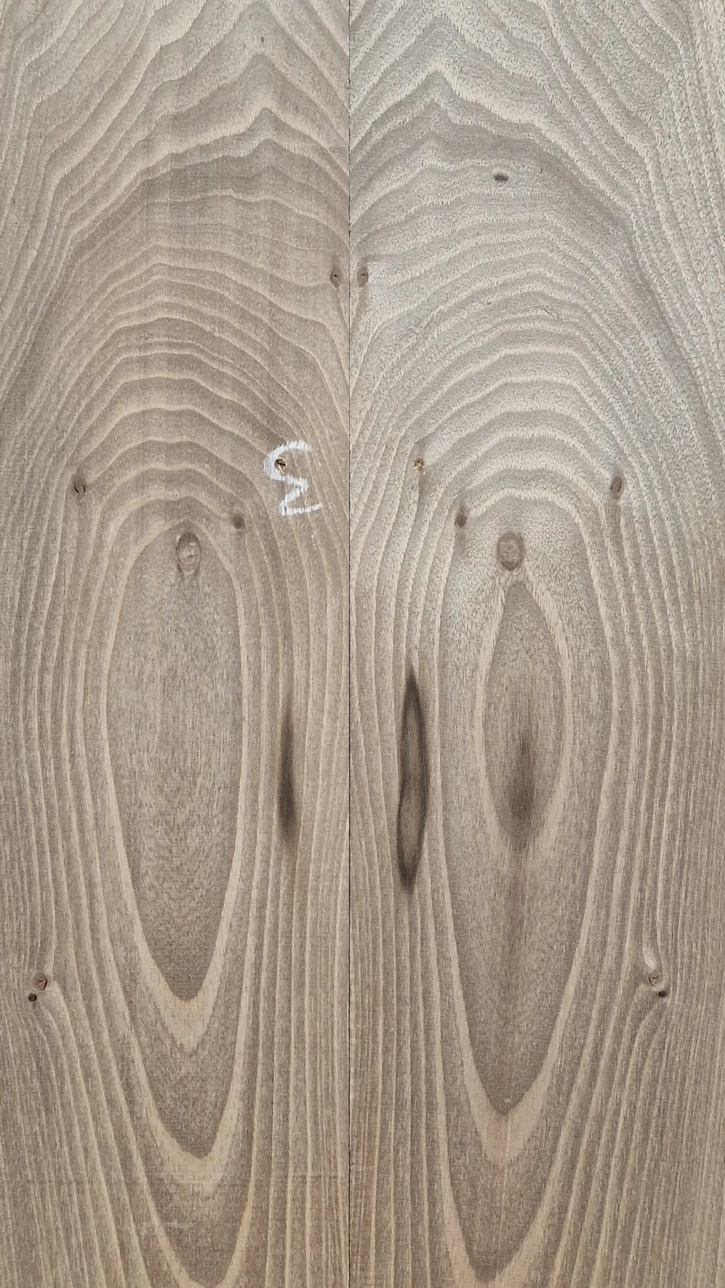 Aufleimer Nussbaum 151225-1