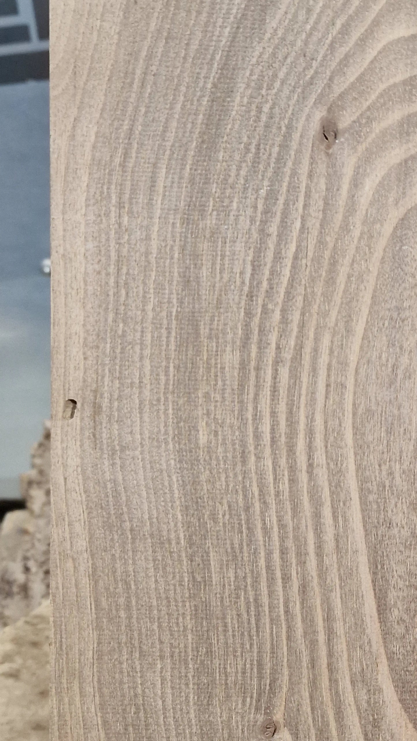 Aufleimer Nussbaum 151225-1