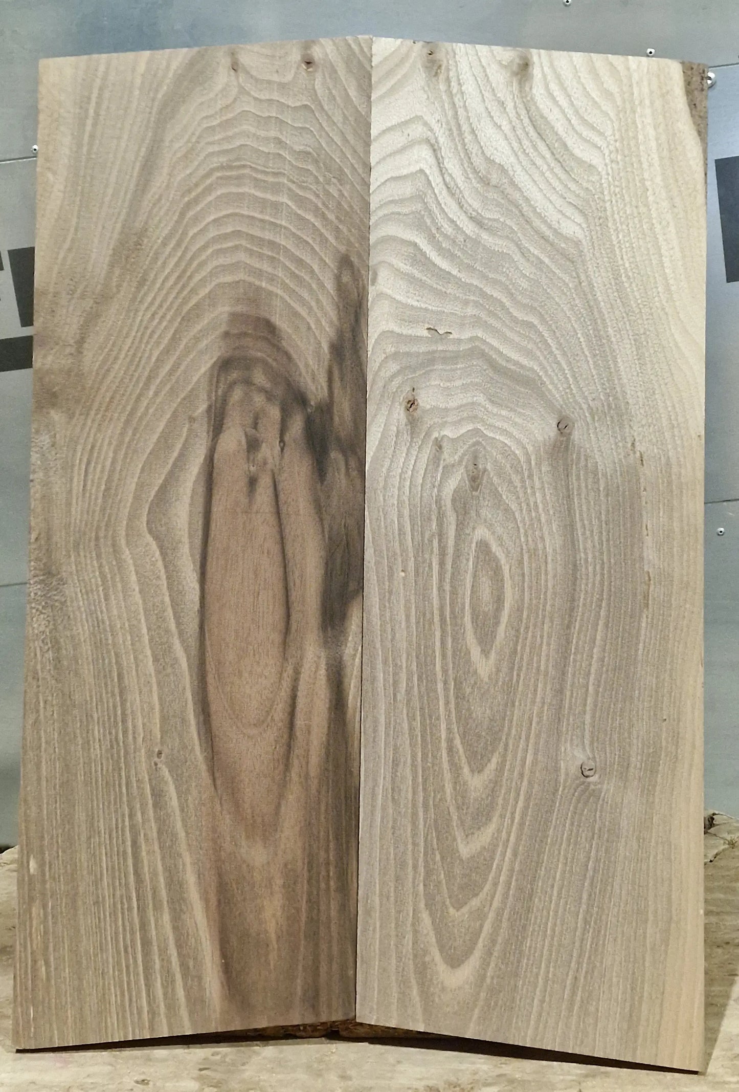 Aufleimer Nussbaum 151225-1