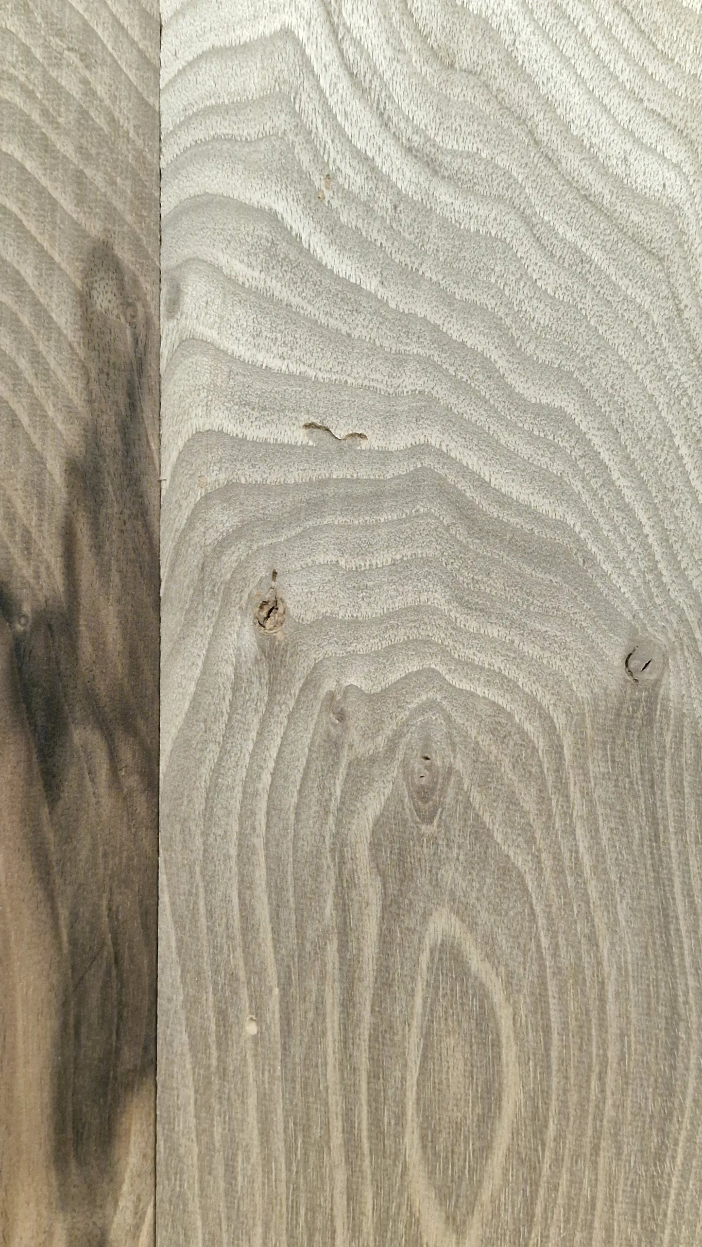 Aufleimer Nussbaum 151225-1