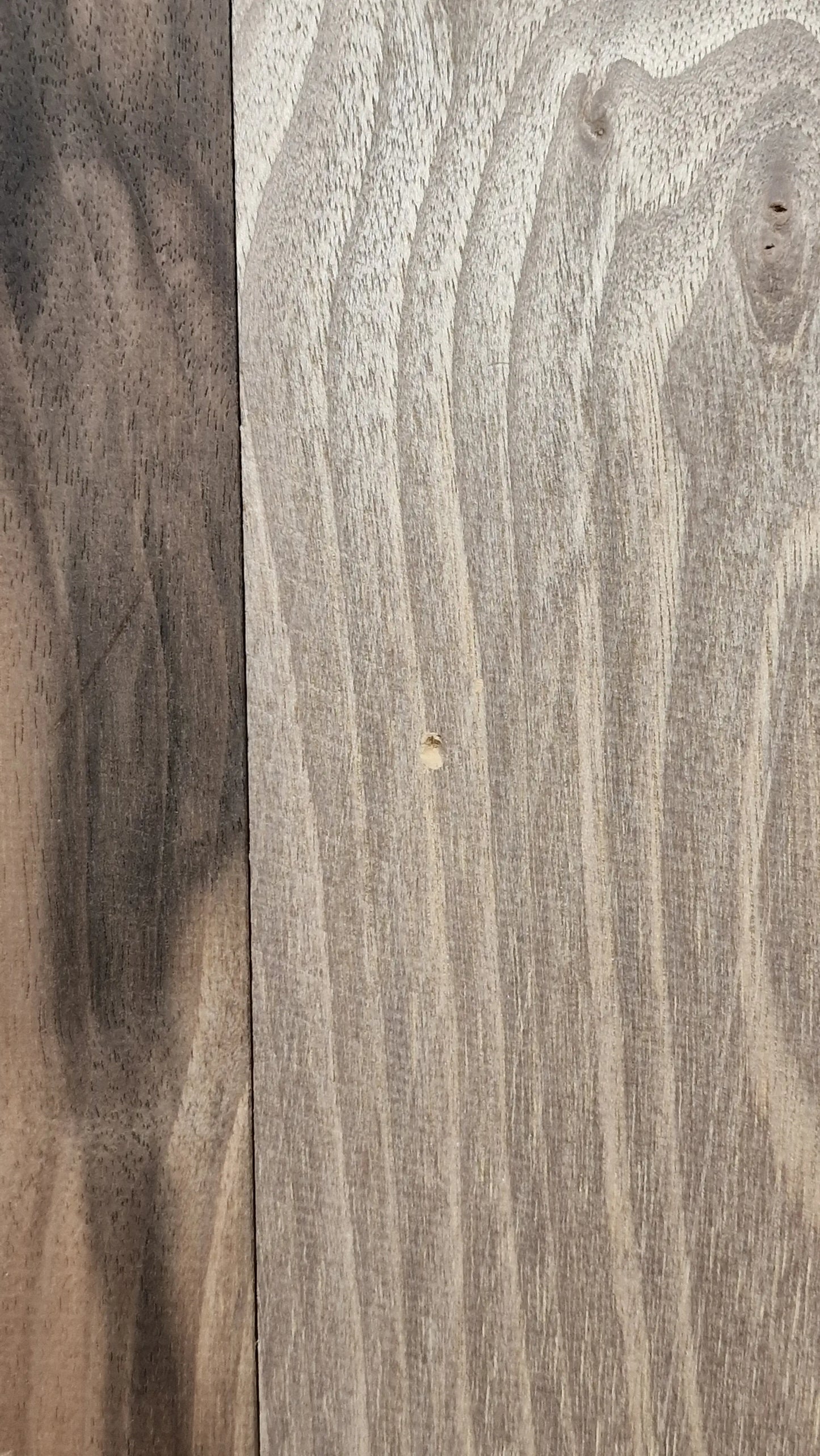 Aufleimer Nussbaum 151225-1