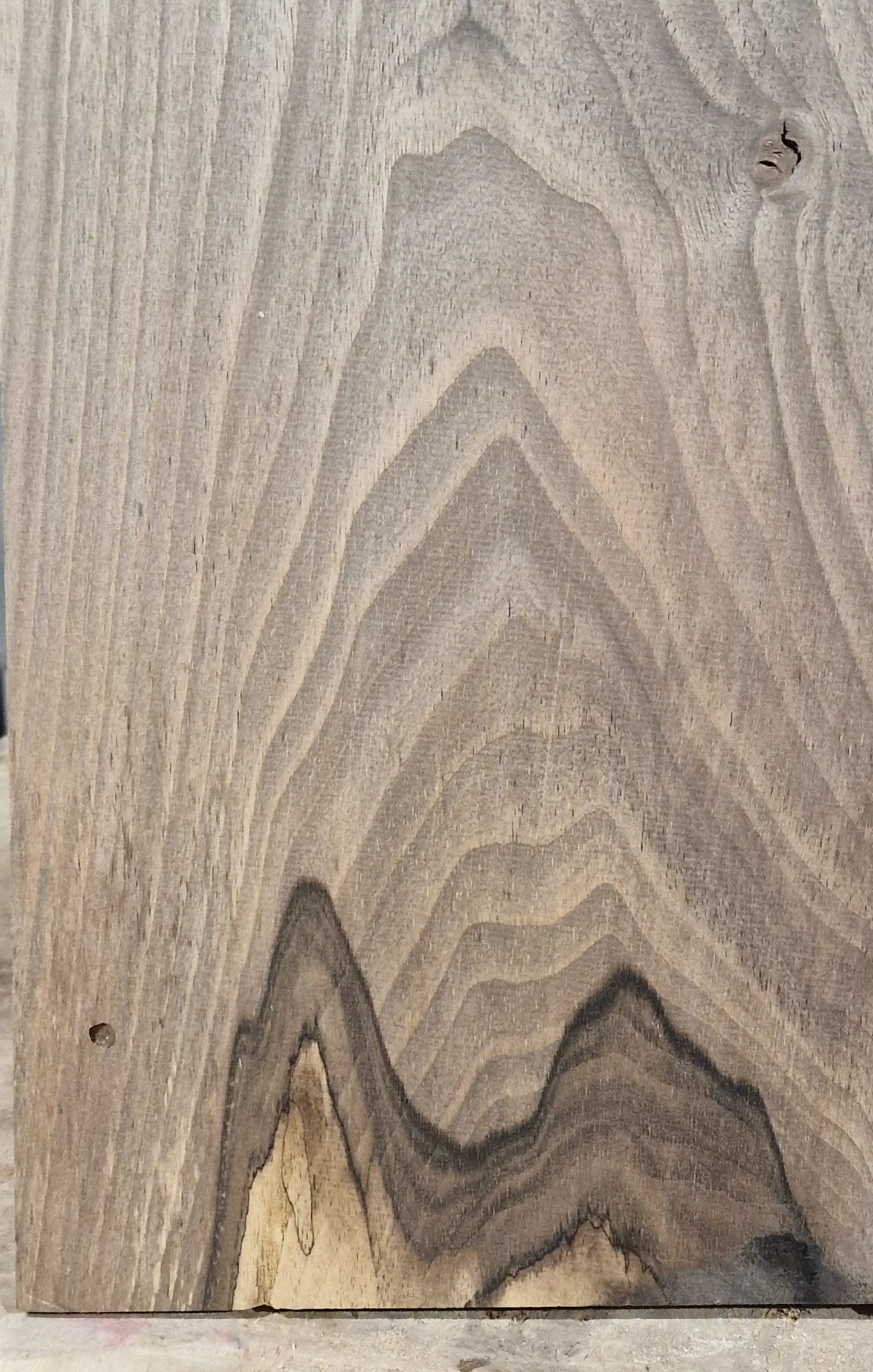 Aufleimer Nussbaum 151225-2