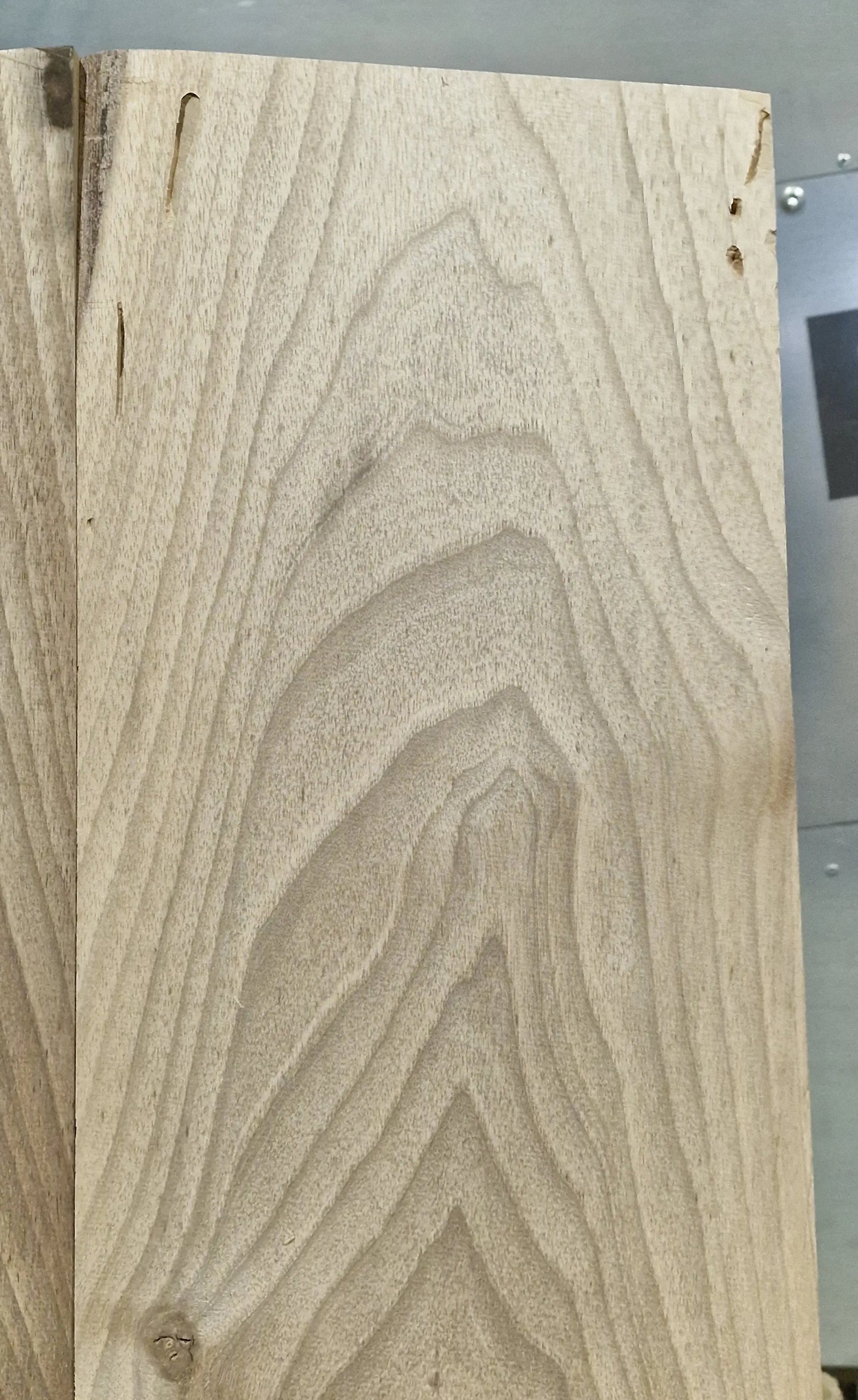 Aufleimer Nussbaum 151225-2