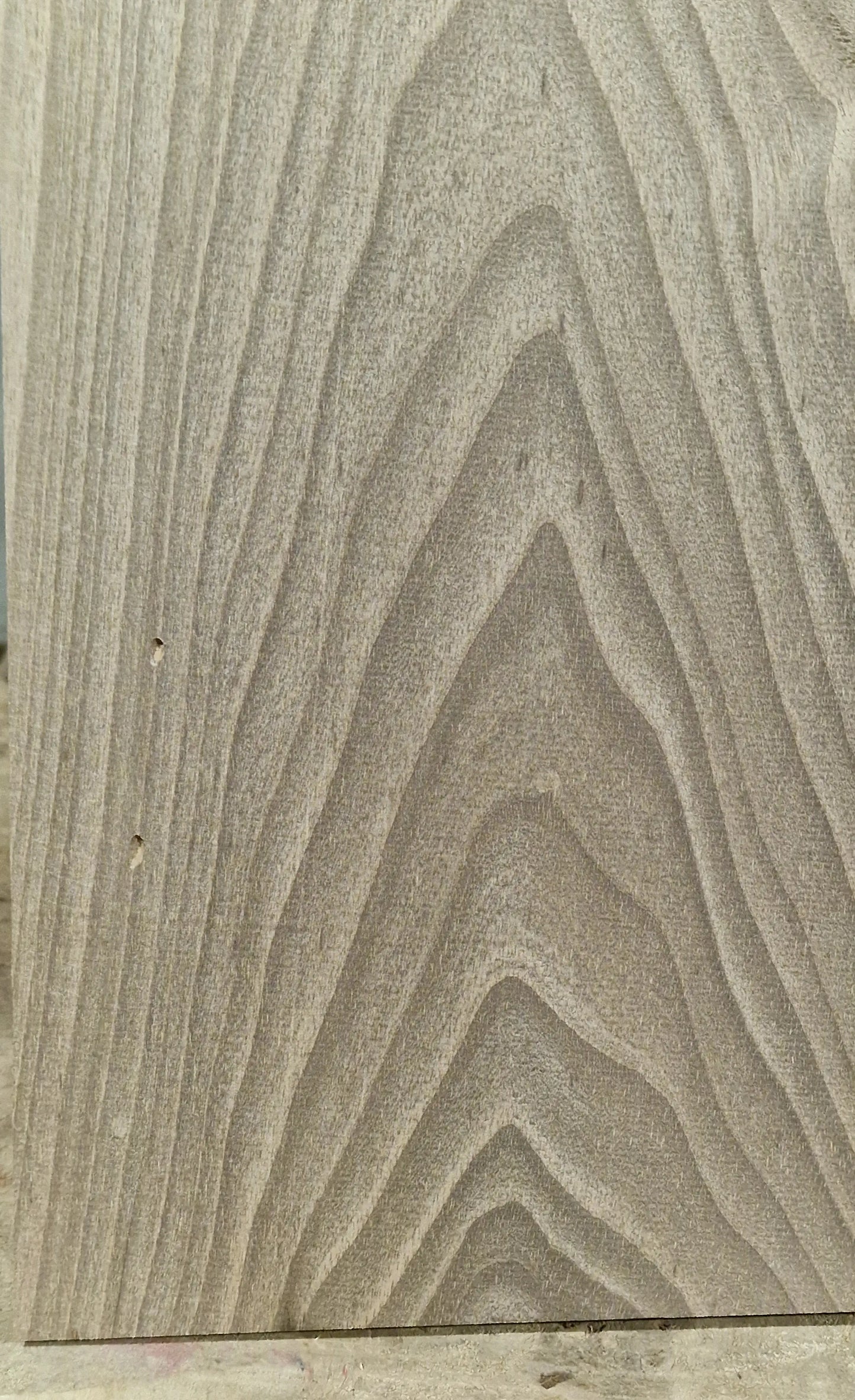 Aufleimer Nussbaum 151225-2