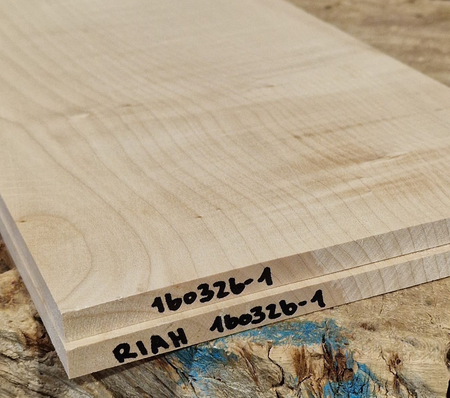 Aufleimer Riegelahorn 160326-1