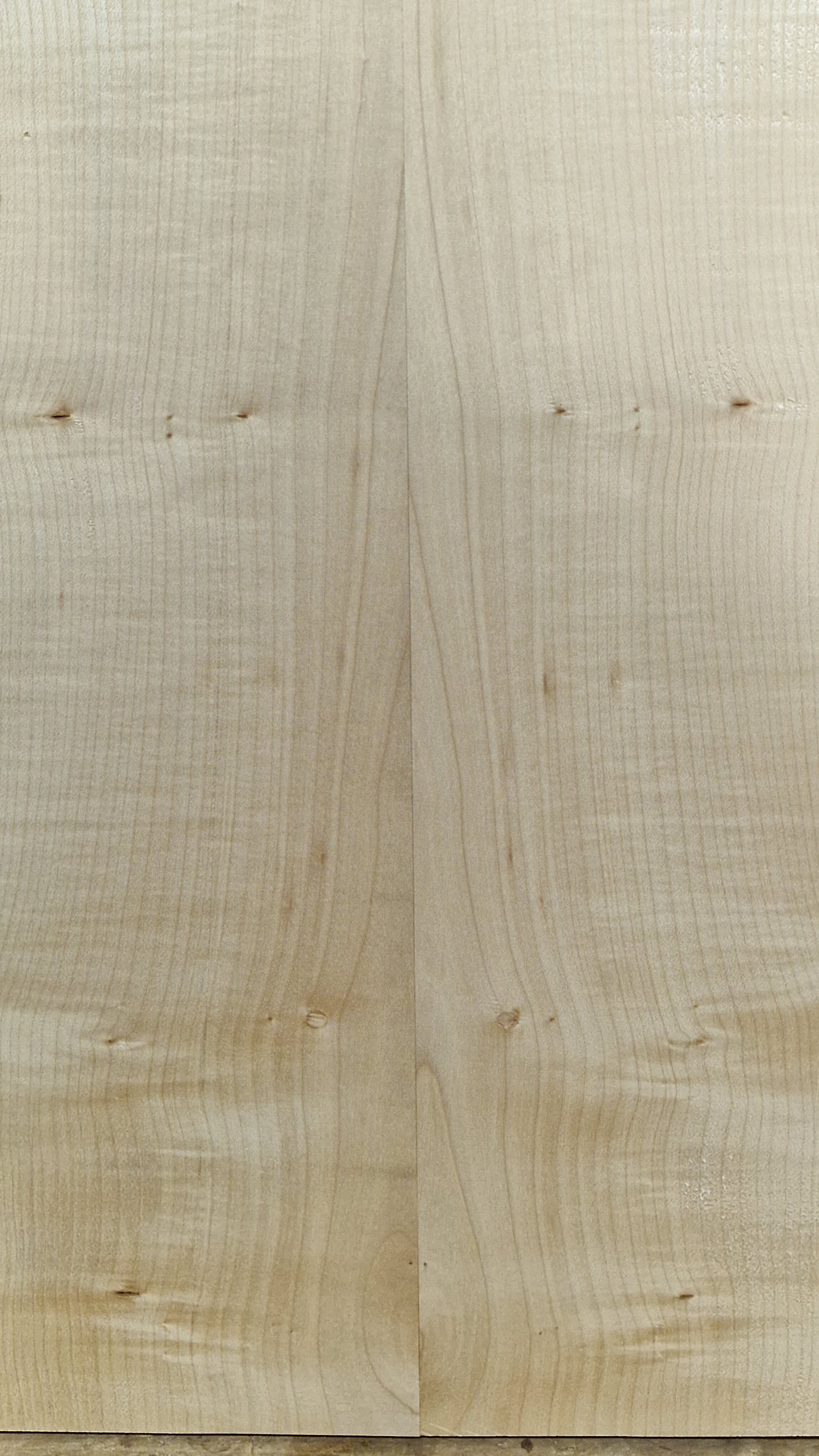 Aufleimer Riegelahorn 160326-1