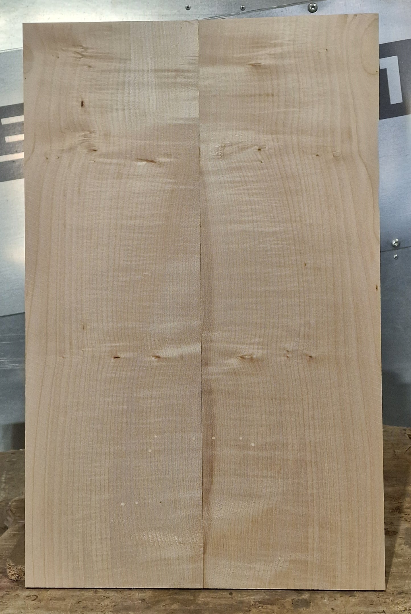 Aufleimer Riegelahorn 160326-1