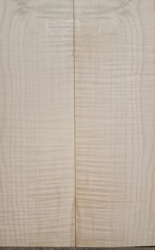 Boden & Zargen Set Riegelahorn 151225