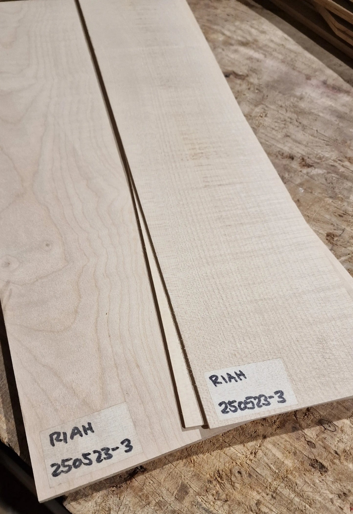 Boden & Zargen Set Riegelahorn 250523-3