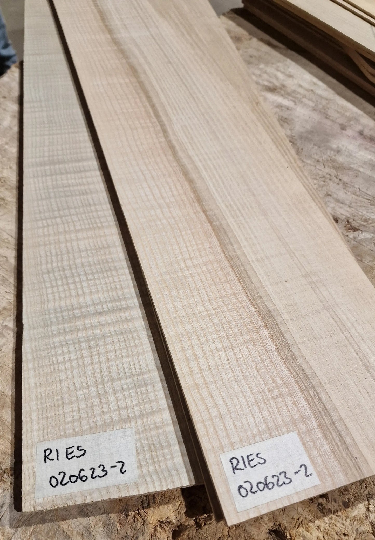 Boden & Zargen Set Riegelesche 020623-2