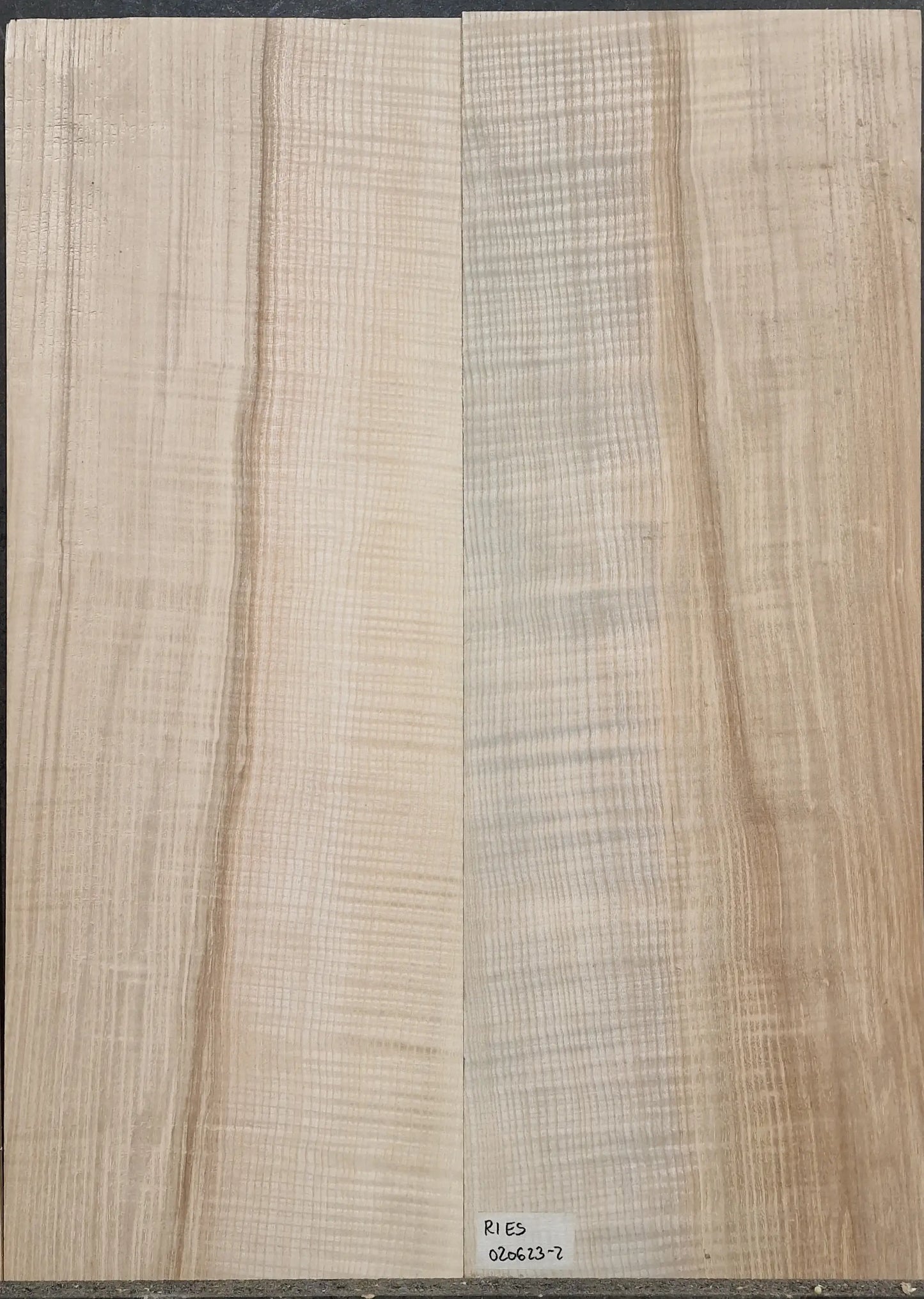 Boden & Zargen Set Riegelesche 020623-2