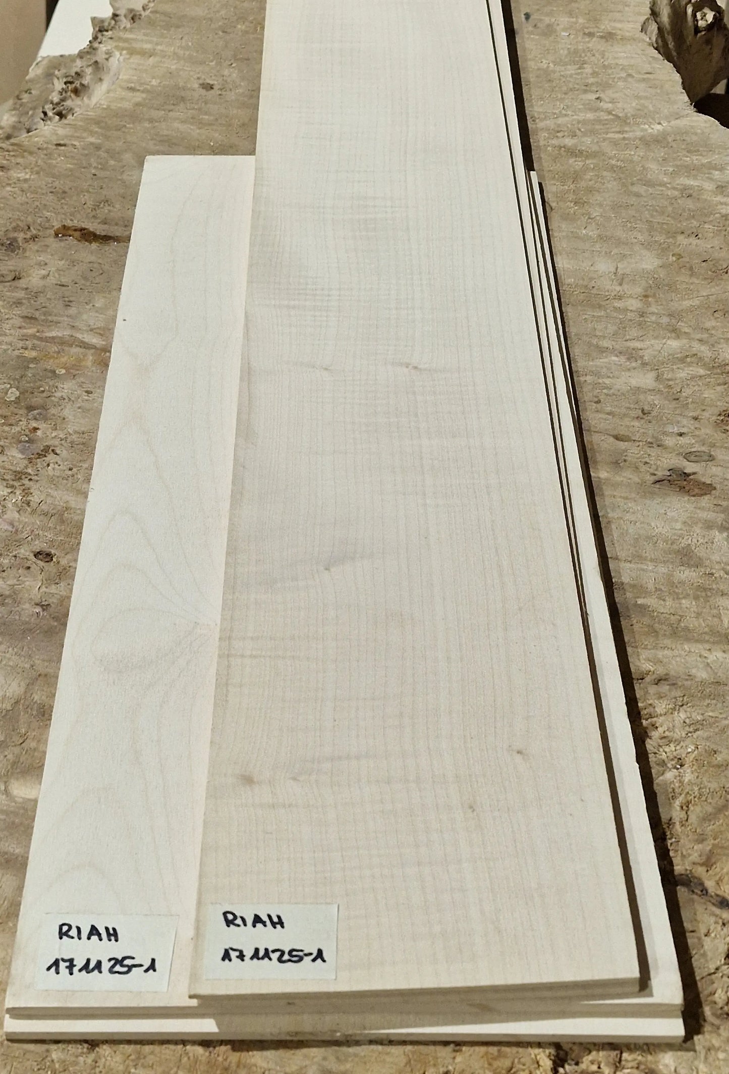 Boden & Zargen Set Riegelahorn 171125-1