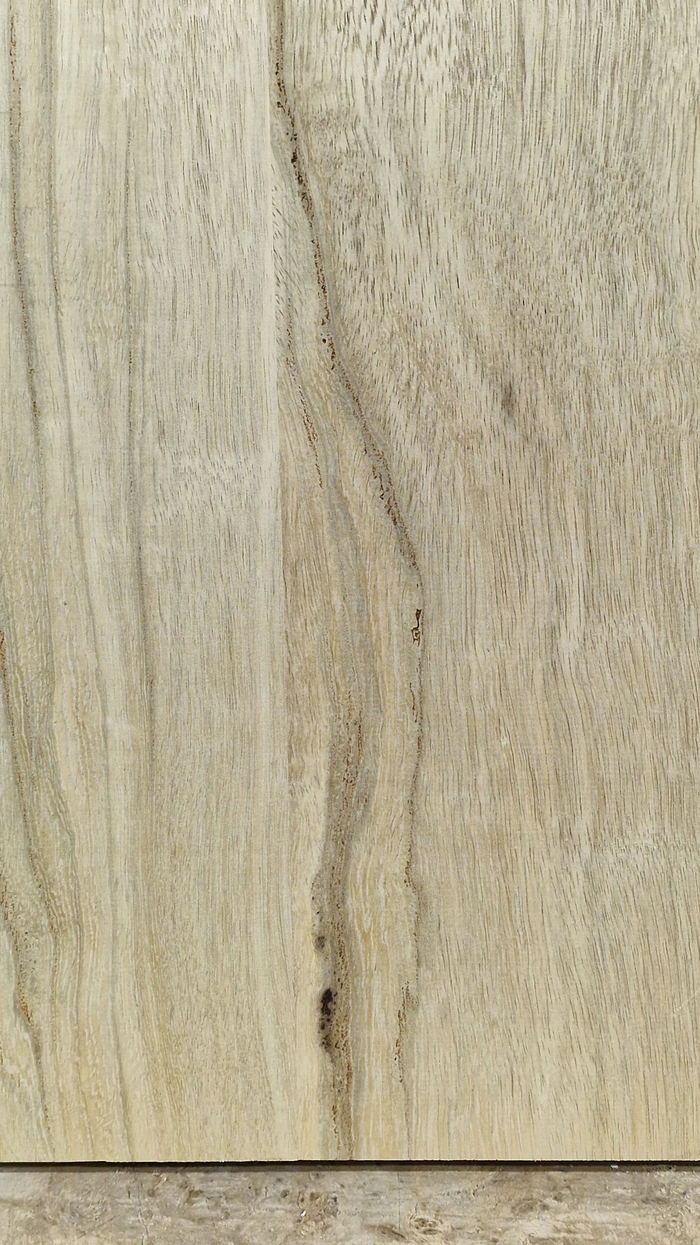 Bodyrohling Korina 101225