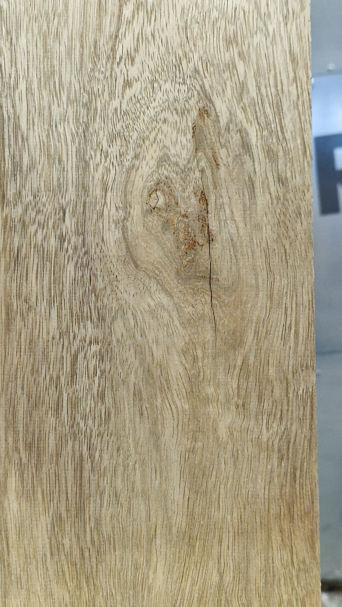 Bodyrohling Korina 101225