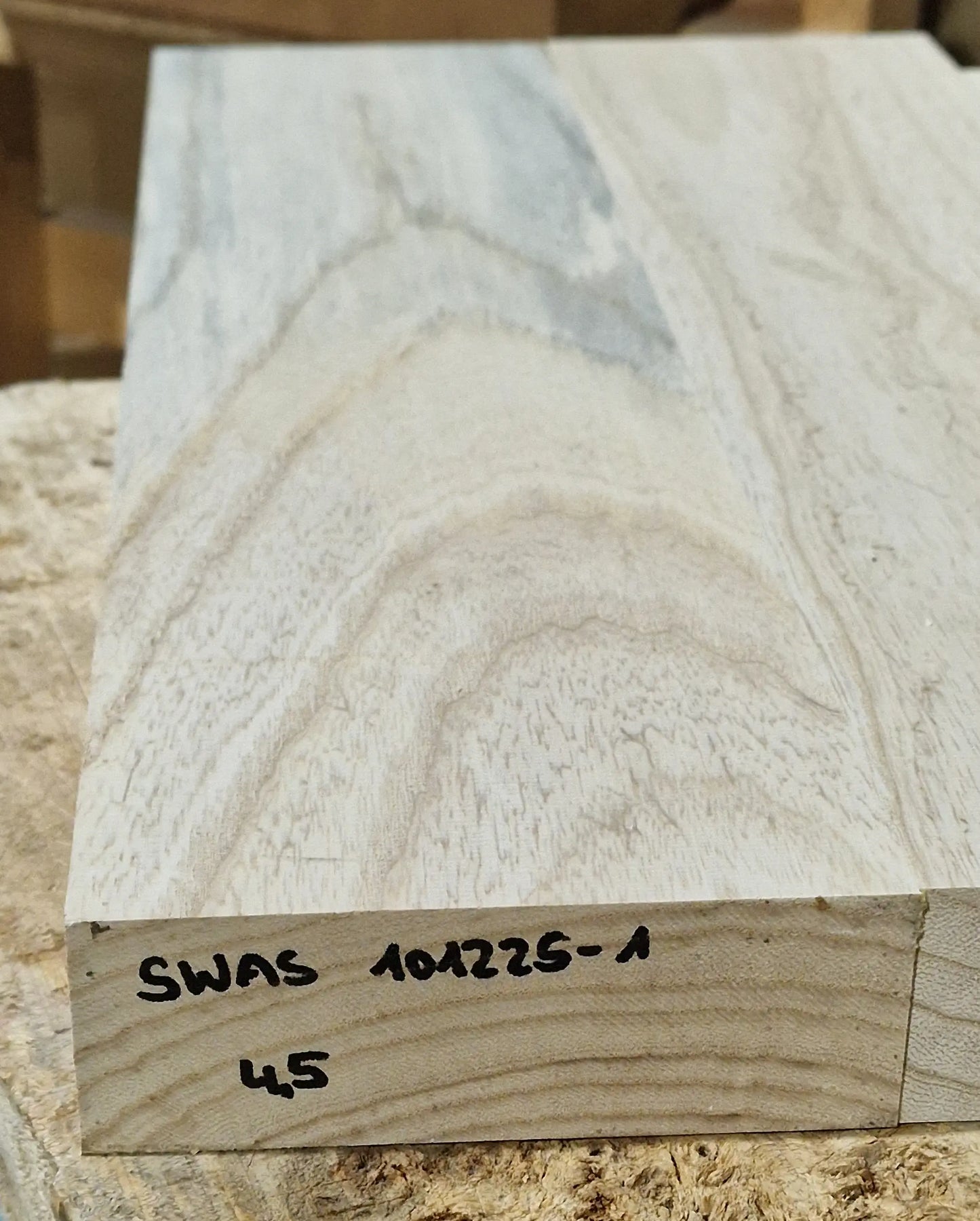 Bodyrohling Sumpfesche 101225-1