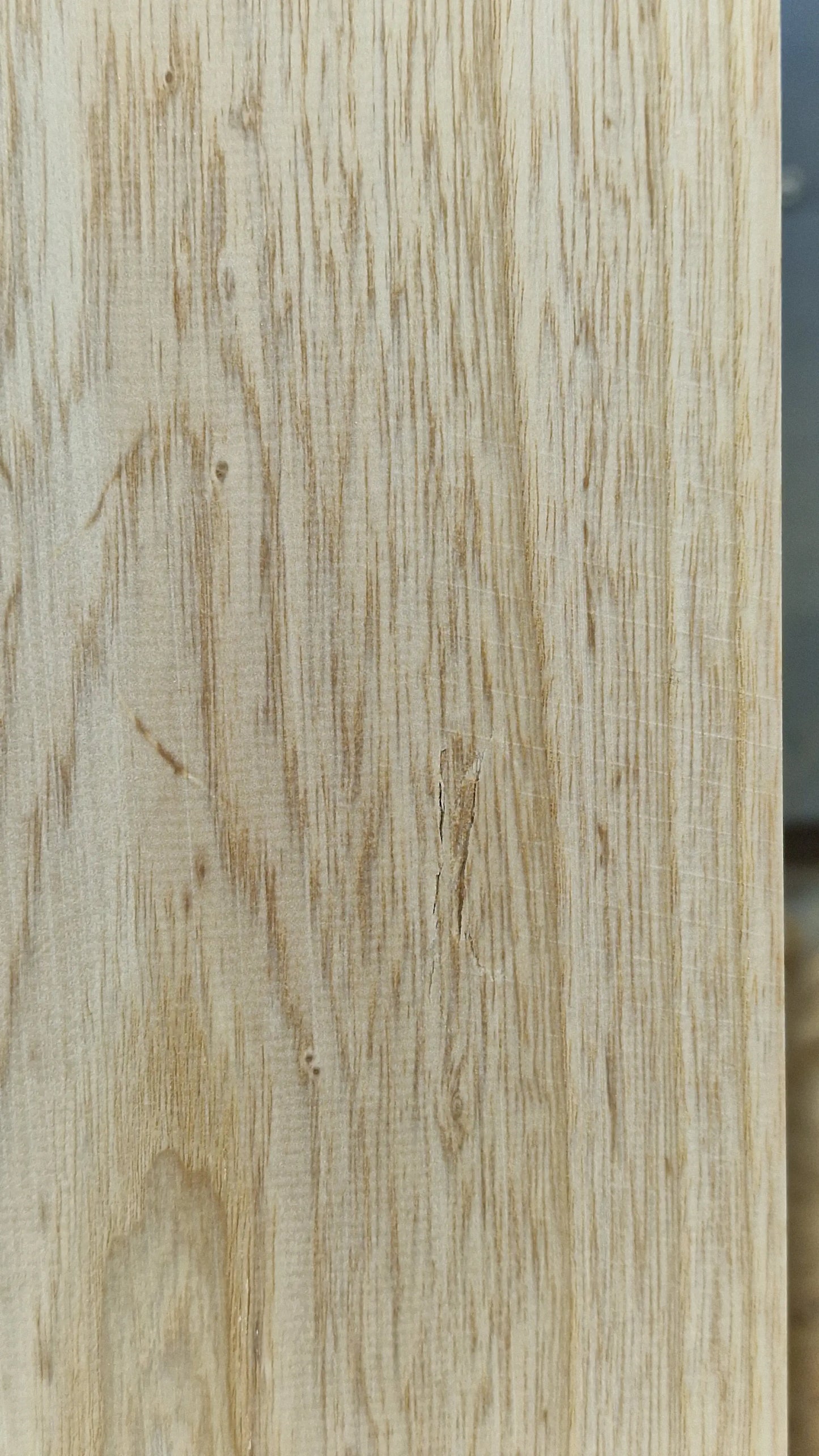 Bodyrohling Sumpfesche 101225-1